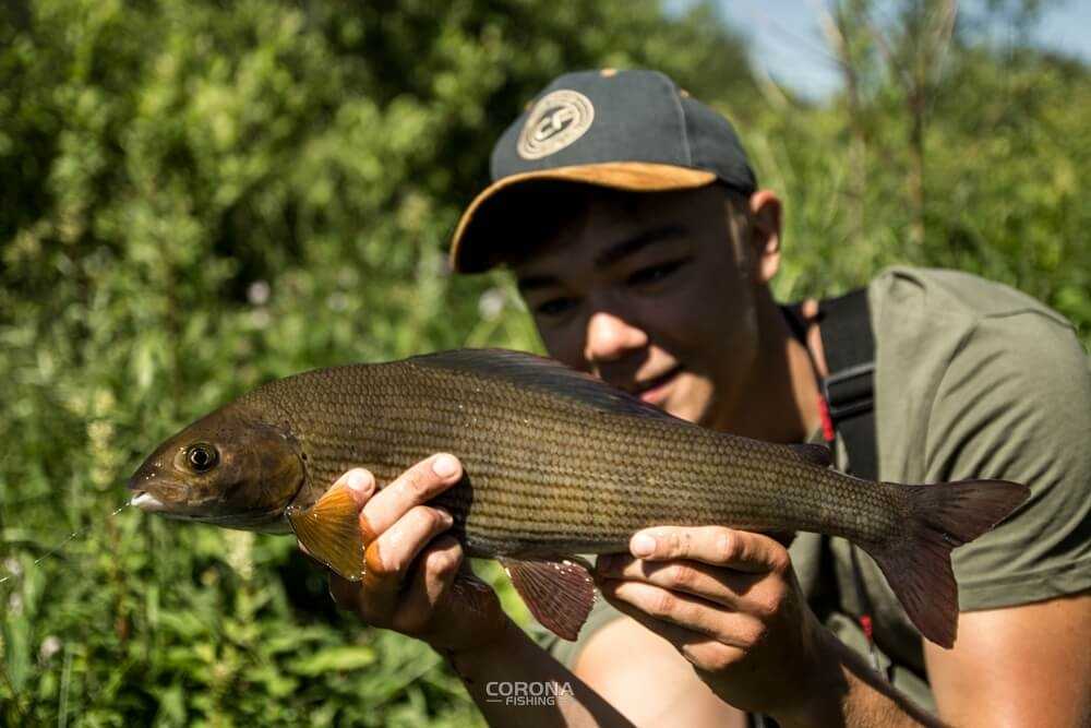 wędkarstwo skandynawia